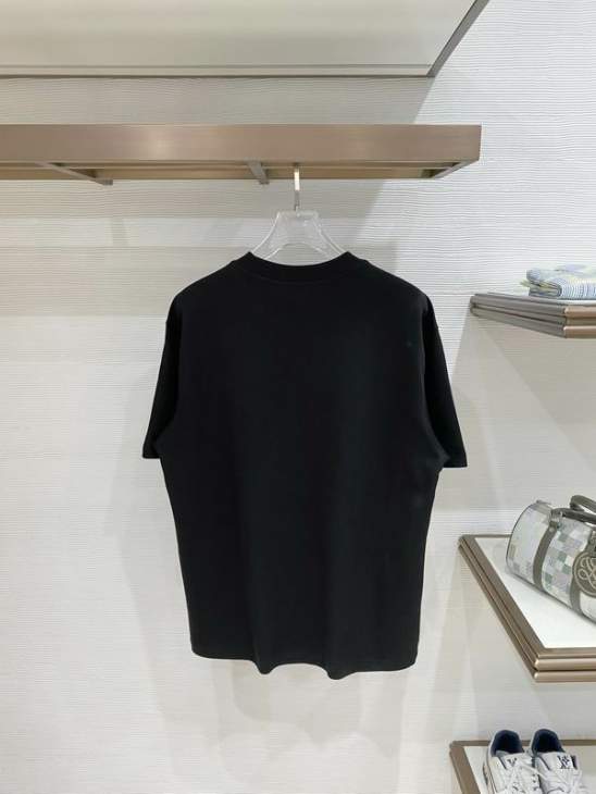 Loro Piana T Shirts Short _SKULoroPianaM-3XLxetr258726